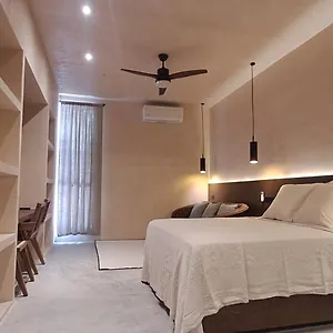  Apartamento Mid-498 Centro México